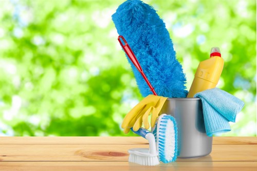 Professional office cleaners working in a Hammersmith workplace