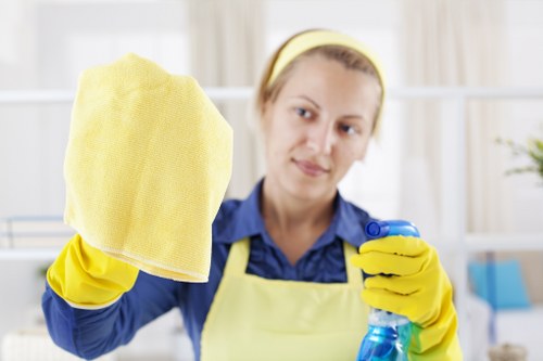 Professional cleaning company in Hammersmith servicing a modern home