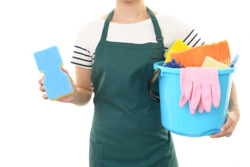Professional cleaners in Hammersmith preparing a bright home for cleaning