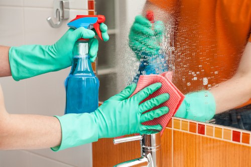 Professional carpet cleaning introduction in Hammersmith