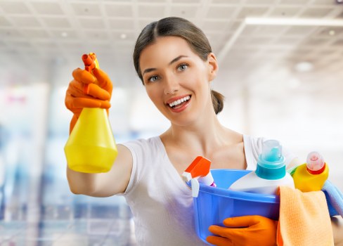 Assessment of carpet cleaning concern details