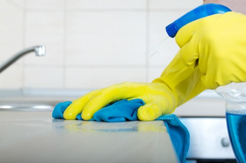 Regular window cleaning service for properties in Hammersmith