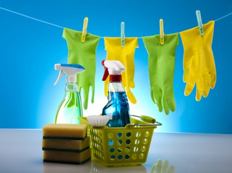 Domestic carpet cleaning for rooms and hallways